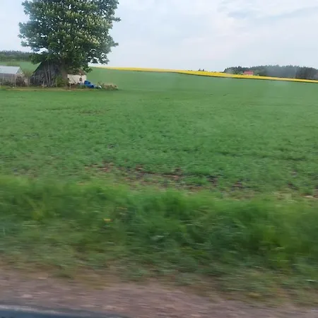 Elmegaard *